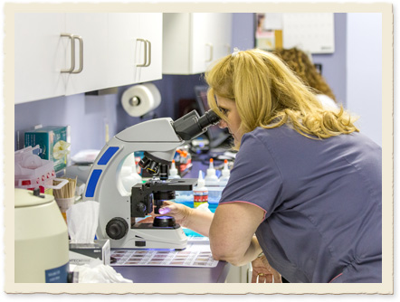 Veterinary Diagnostic Testing