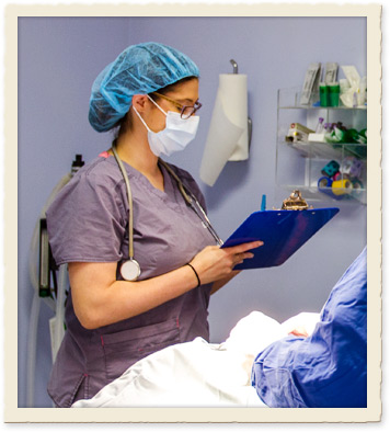 Veterinary Surgery