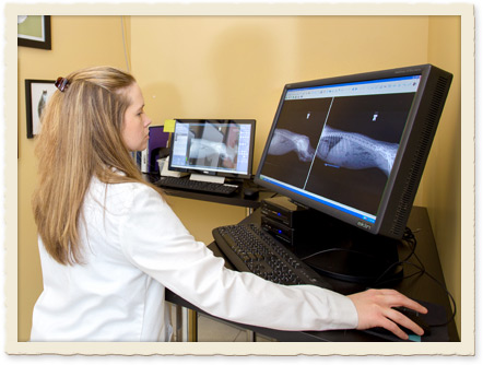 Veterinary X-rays